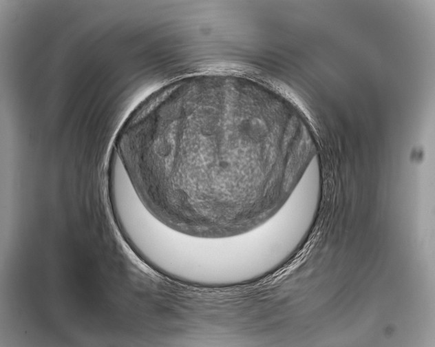 X0000099311087200805161407