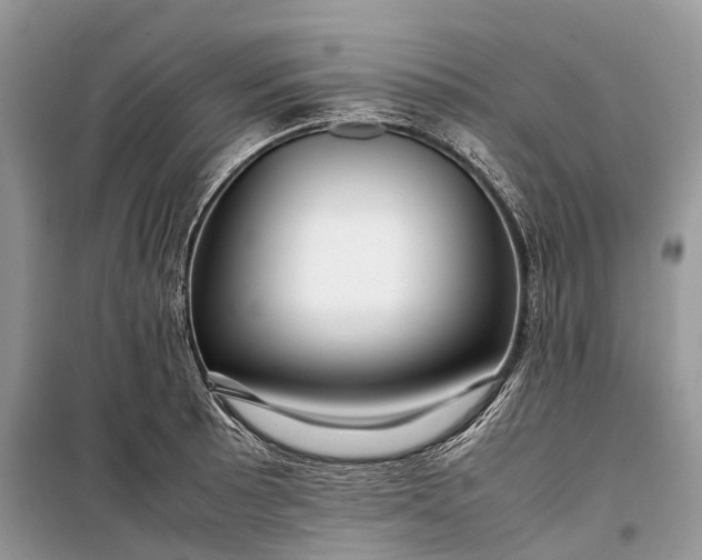 X0000099311089200805161407