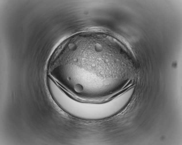 X0000099311091200805161407