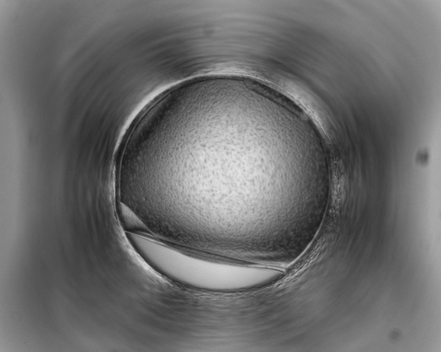 X0000099311092200805161407