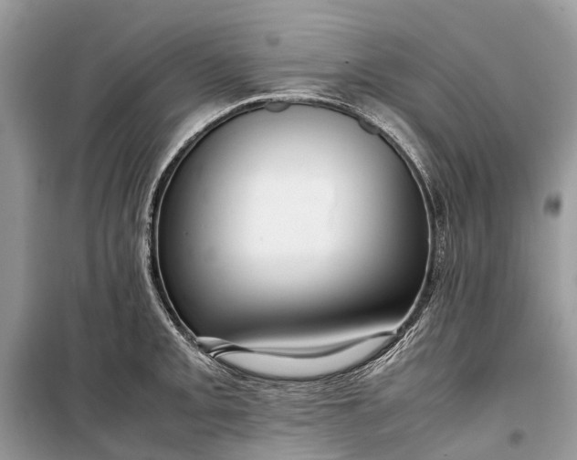 X0000099311093200805161407