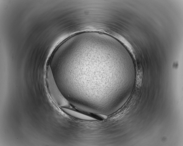 X0000099311096200805161407