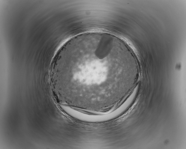 X0000099311097200805161407