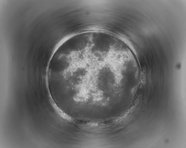 X0000099311098200805161407