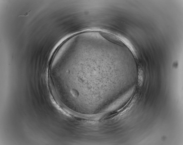 X0000099311100200805161407