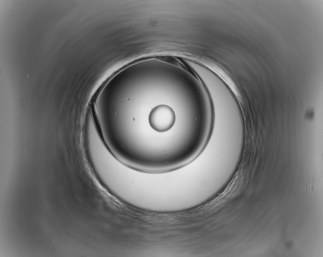 X0000099311101200805161407