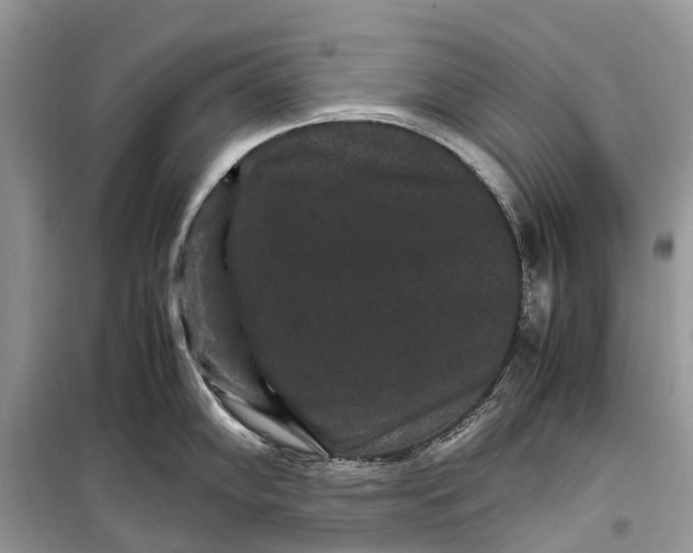 X0000099311102200805161407