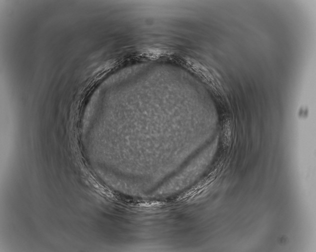 X0000099311105200805161406