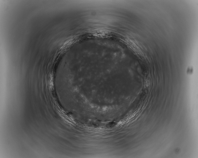 X0000099311106200805161406