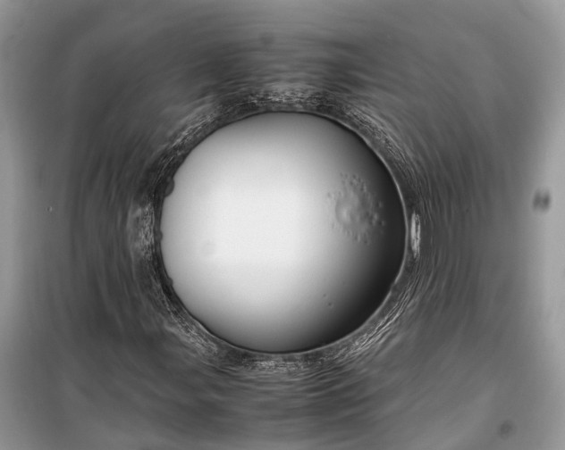 X0000099311107200805161406