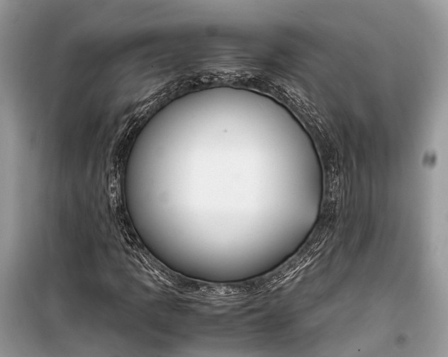 X0000099311109200805161406