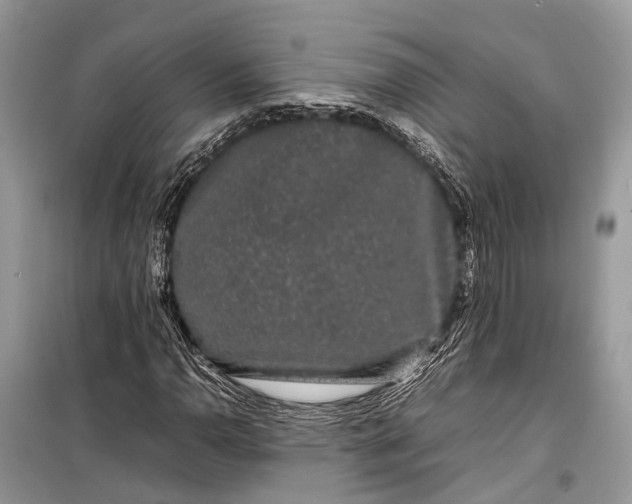 X0000099311110200805161406