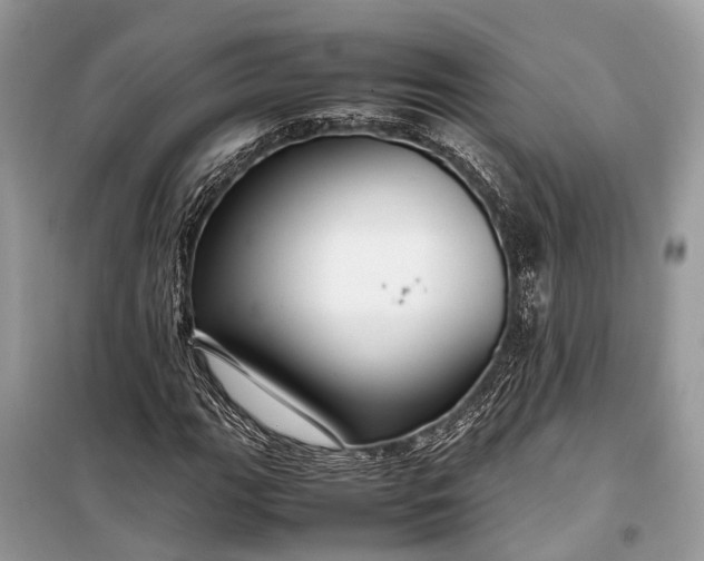 X0000099311111200805161406