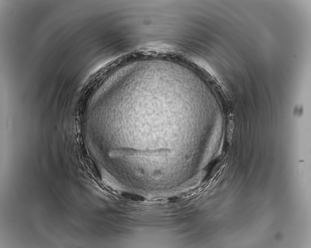 X0000099311112200805161406