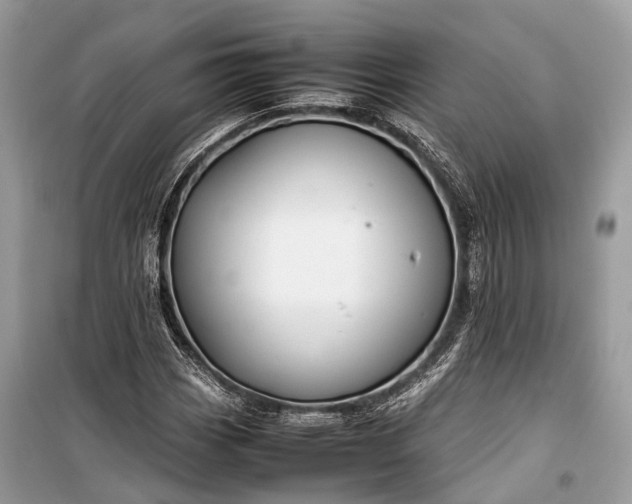 X0000099311113200805161406