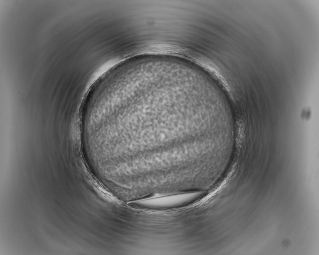 X0000099311114200805161406