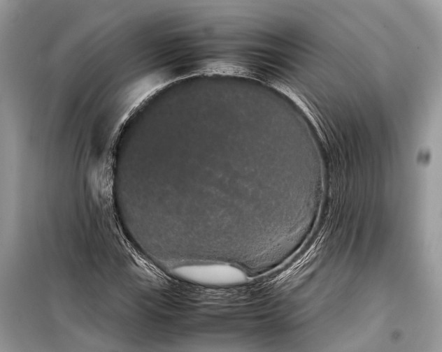 X0000099311115200805161406