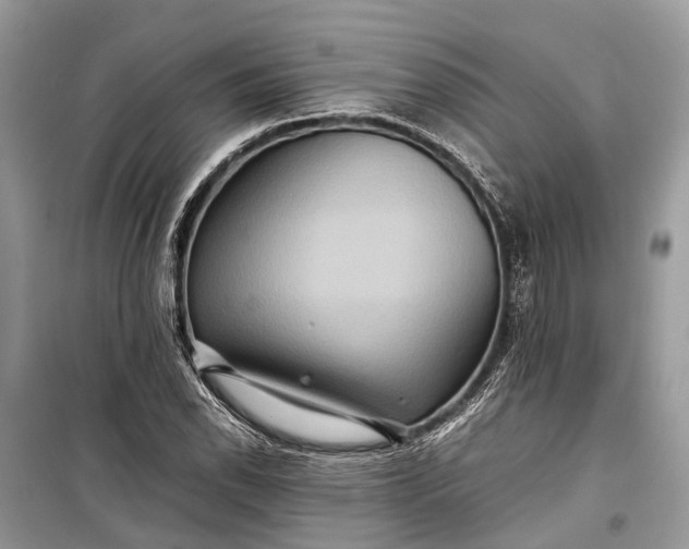 X0000099311118200805161406