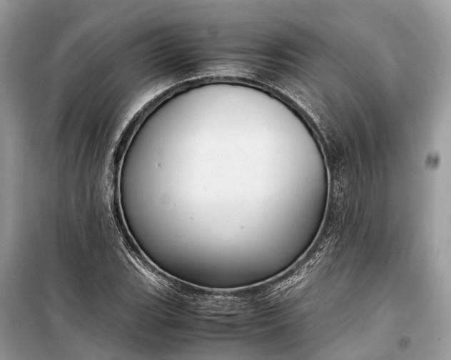 X0000099311119200805161406