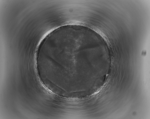 X0000099311120200805161406