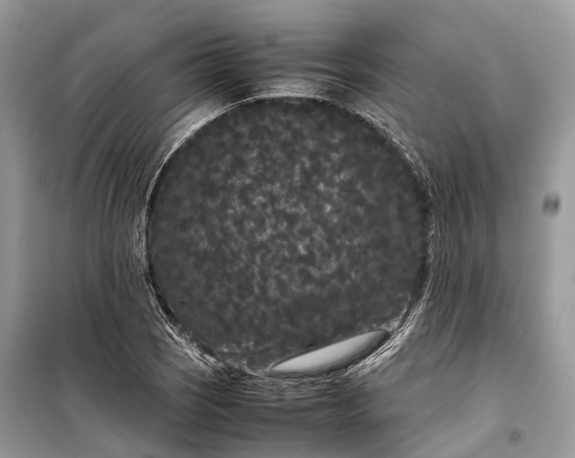 X0000099311121200805161406