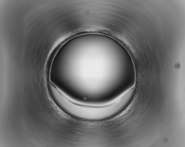 X0000099311122200805161406