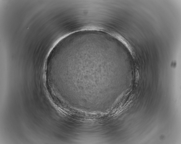 X0000099311124200805161406