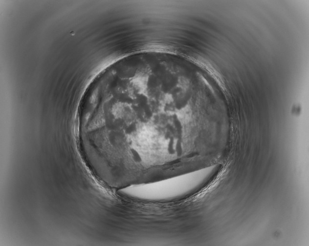 X0000099311125200805161406