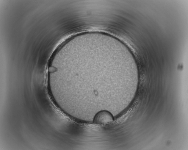 X0000099311126200805161406