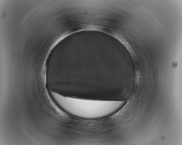 X0000099311127200805161406