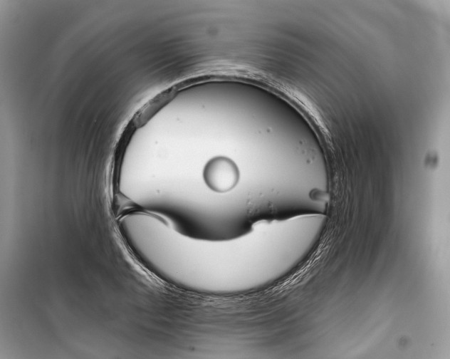 X0000099311128200805161406