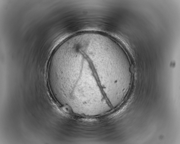 X0000099311129200805161407