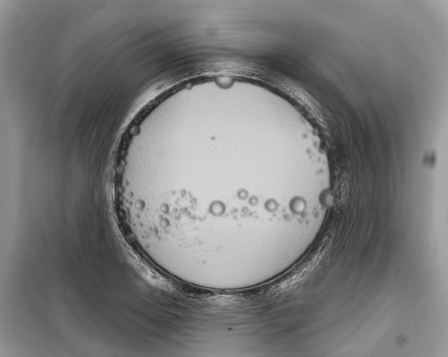 X0000099311130200805161407