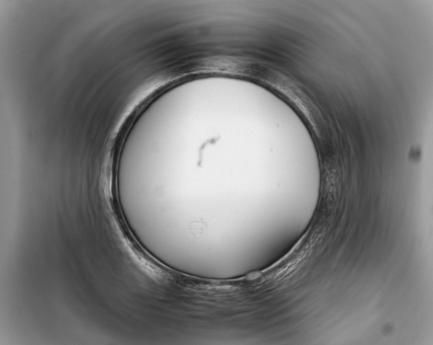 X0000099311131200805161407