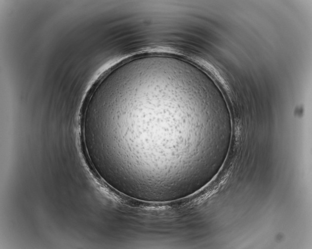 X0000099311133200805161407