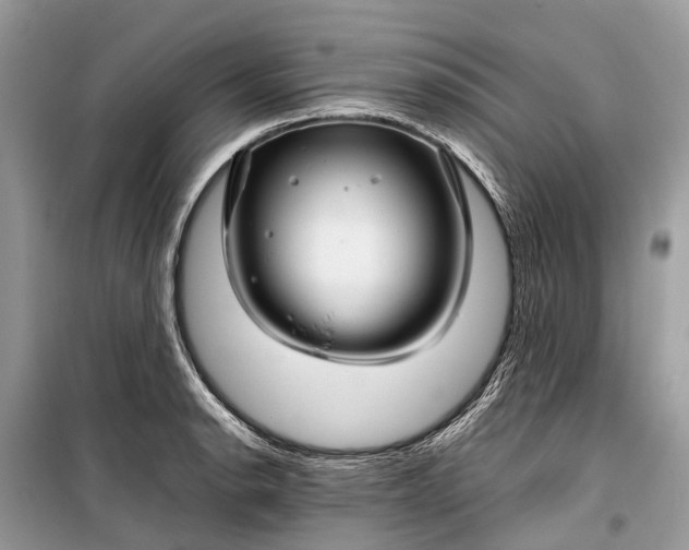 X0000099311134200805161407