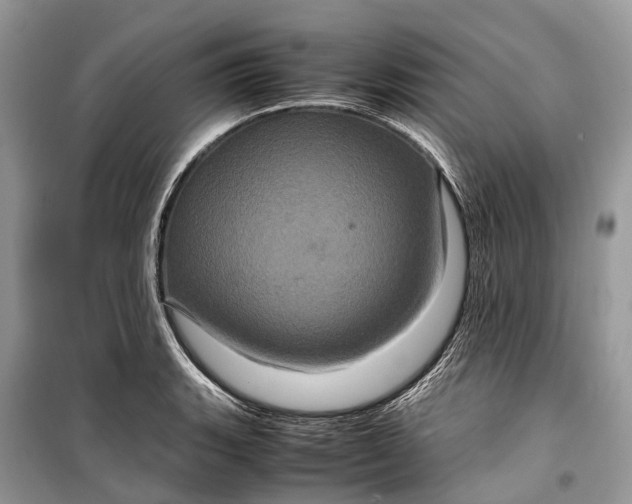 X0000099311135200805161407