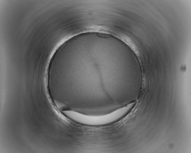 X0000099311136200805161407