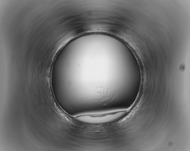 X0000099311137200805161407