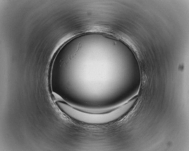 X0000099311138200805161407