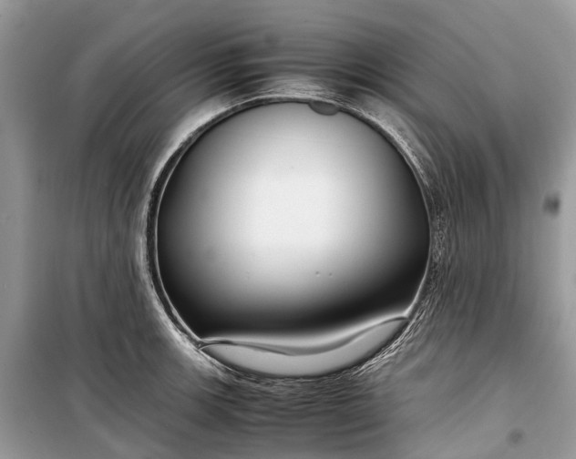 X0000099311139200805161407