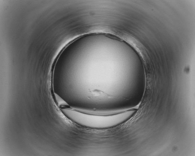 X0000099311140200805161407