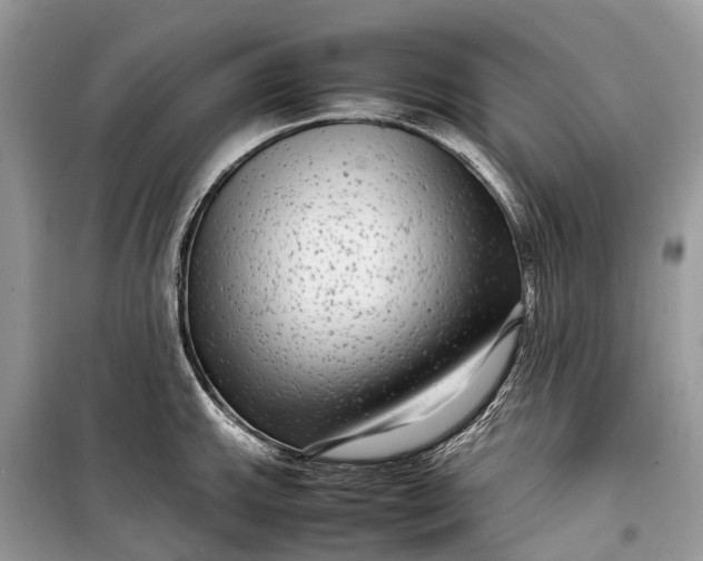 X0000099311143200805161407