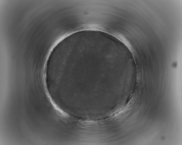 X0000099311144200805161407