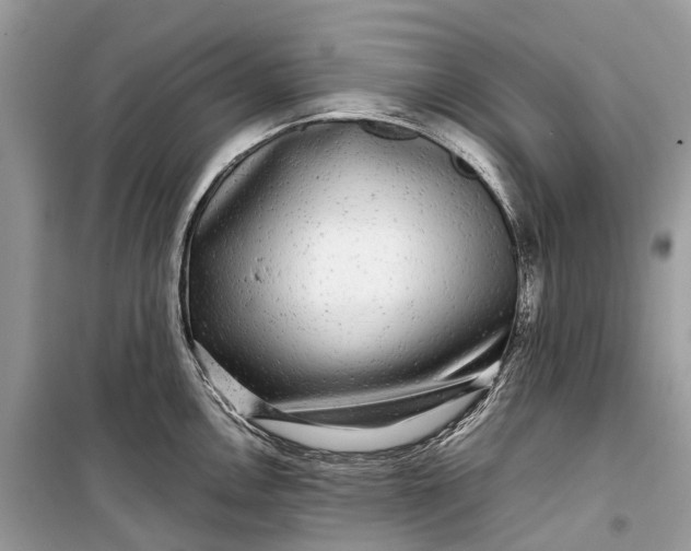 X0000099311146200805161407