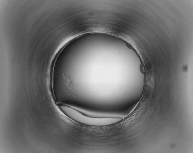 X0000099311147200805161407