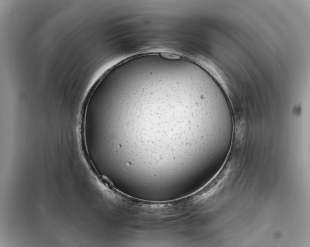 X0000099311149200805161407