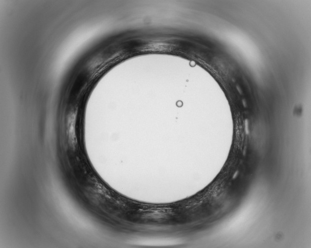 X0000099311150200805161407