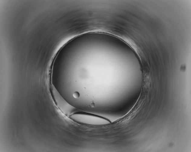 X0000099311151200805161407