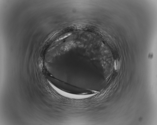 X0000099311155200805161406